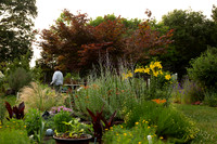 The Teaching Garden