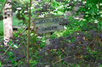 Woodland Bed