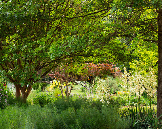 teaching garden