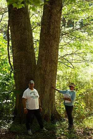 AAH Site Visit - native trees!!