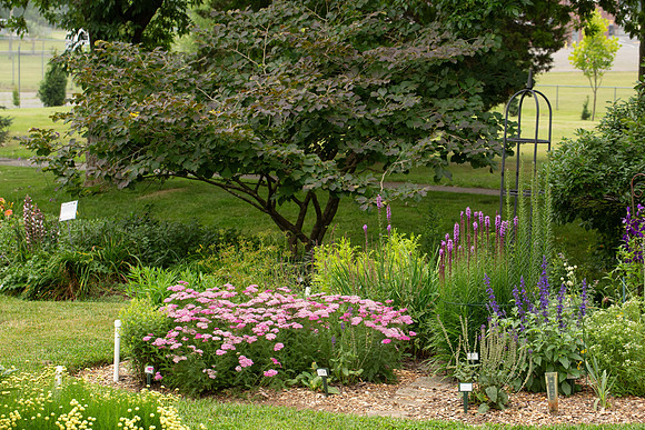 teaching garden