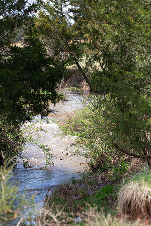 AAH Site Visit - habitat