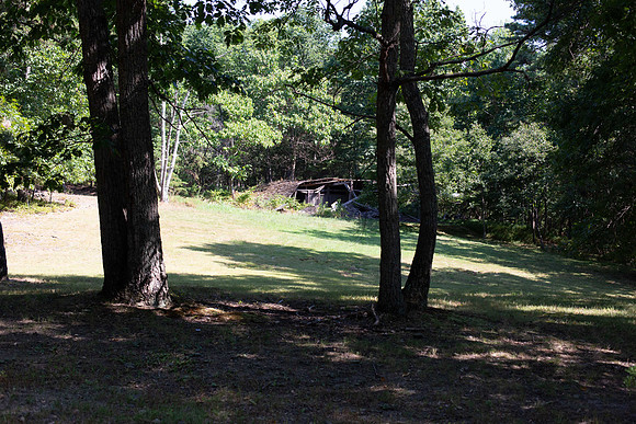 AAH Site Visit - habitat