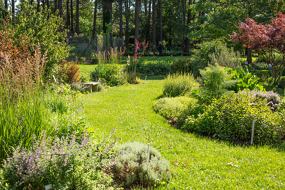 teaching garden